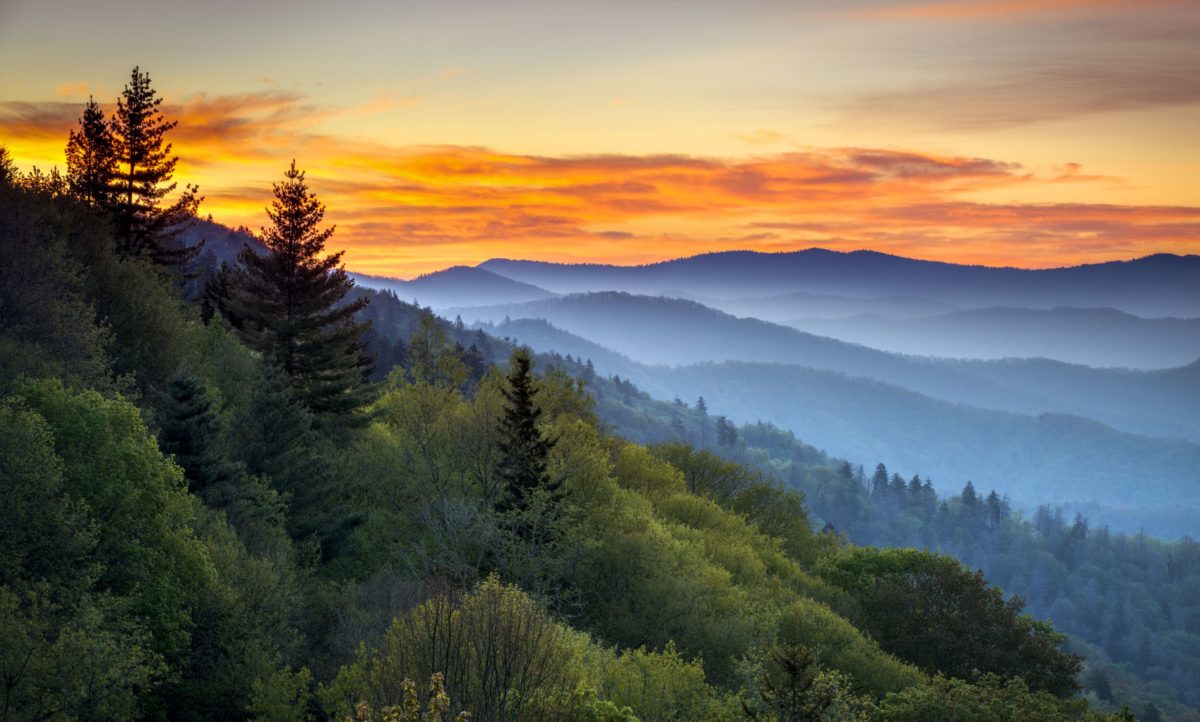 Tennessee’s Little Miller Act