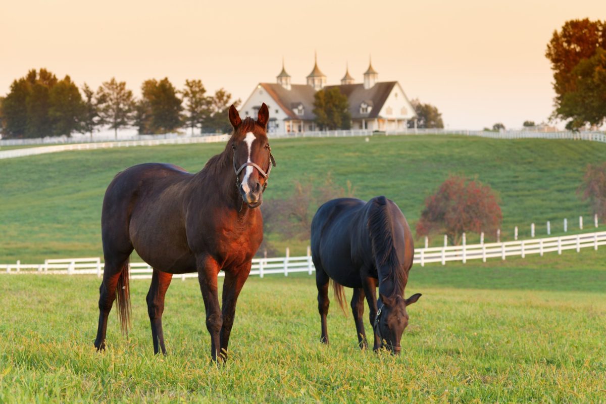Kentucky Little Miller Act