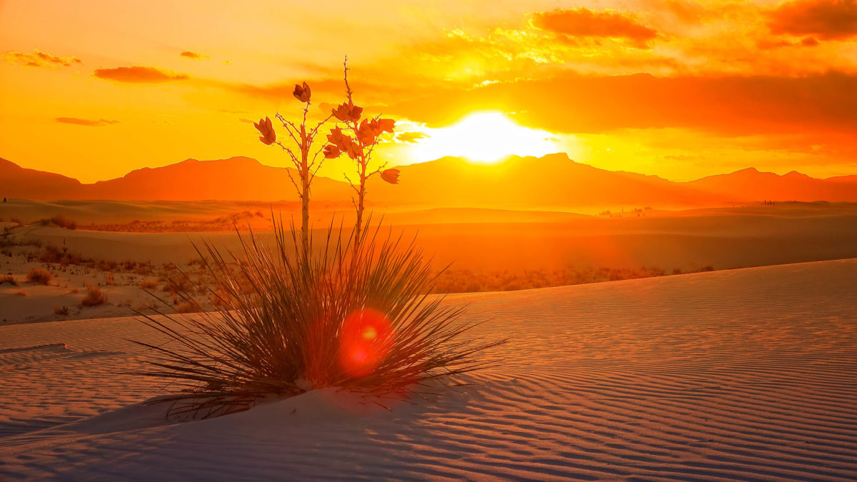 New Mexico Little Miller Act