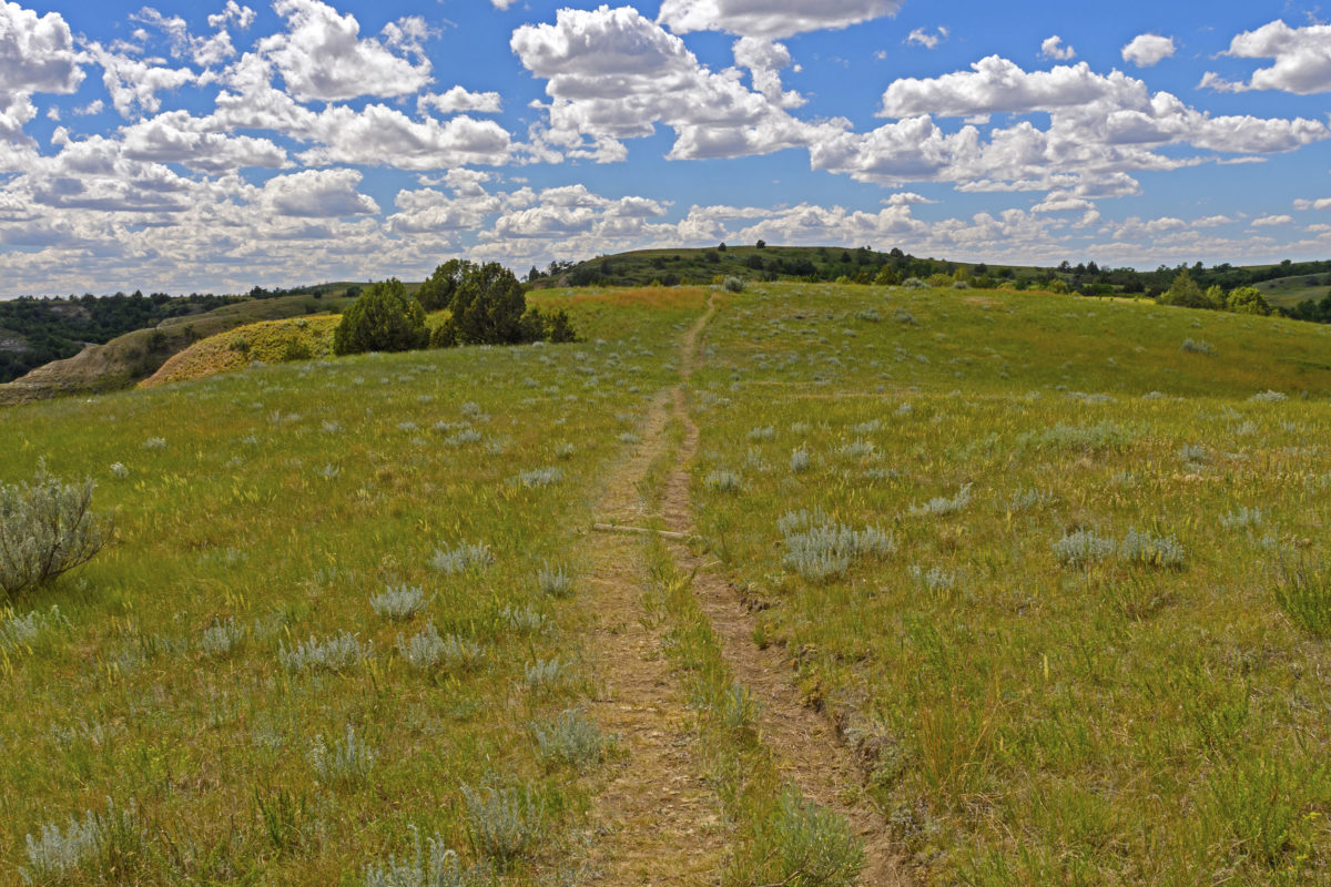 North Dakota Little Miller Act